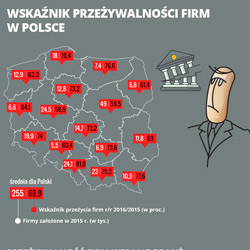 Firmy Polska